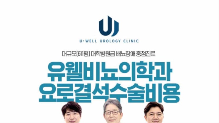 요로결석수술비용, 요관내시경 알아보자! : 네이버 블로그