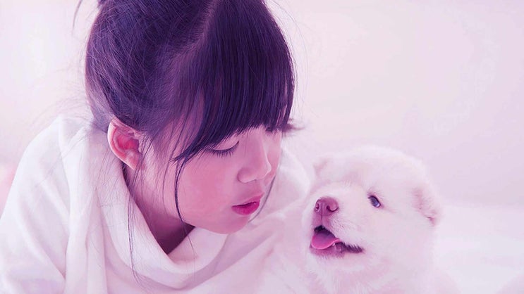  강아지 장례비용 고양이 화장비용 품격 있고 저렴하게