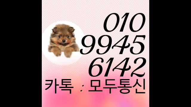  편의점 유심칩 어느걸로 구해야 선불폰 개통이 되나요?