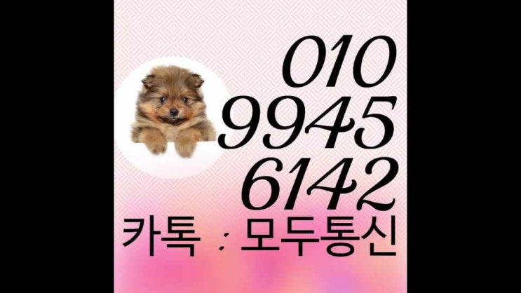  선불폰명의 이제는 내 명의로 쓸 수 있다구요?