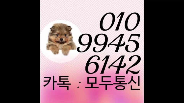 신불자 핸드폰 개통 이렇게도 할 수 있을까요?