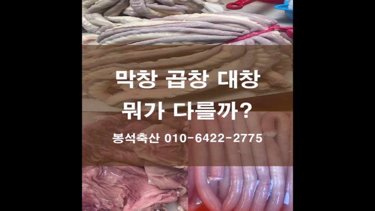 막창 곱창 대창 차이 뭐가 다를까? (칼로리, 맛, 효능) : 네이버 블로그