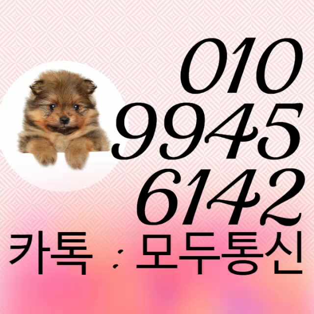  KT선불폰 핸드폰 요금 미납 있어도 가능하죠?