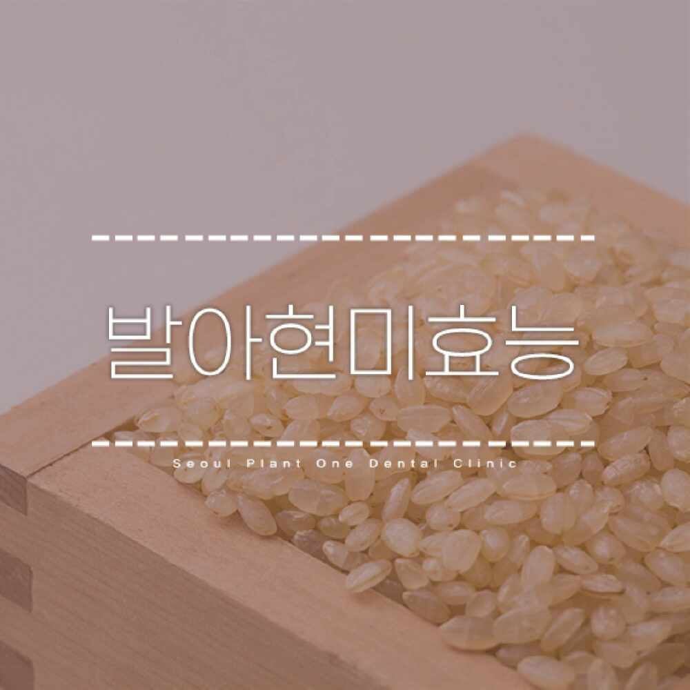 발아현미효능 5가지와 먹는 방법 알아보기!