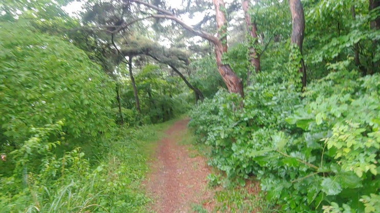 #충남#태안군#안흥항#안흥진성#<b>조선시대</b>#<b>수군</b>방어영#안흥성... 