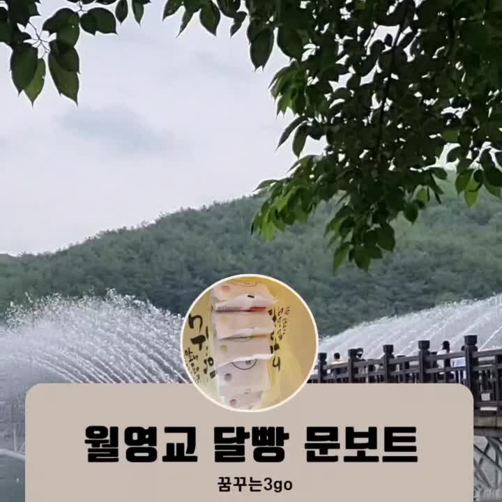  월영교 달빵 달배 문보트 가격 이용 시간 정리 사진 스폿