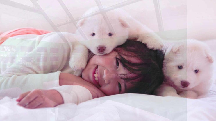  양주 강아지 장례 고양이 화장 장례식장 전문지도사의 정성으로