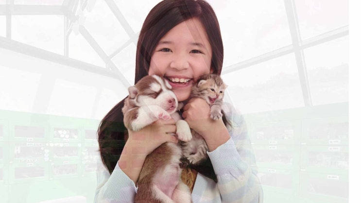  용인 고양이 장례 반려견 장례식장 꼼꼼하고 정성스러운 진행으로