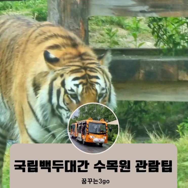  국립백두대간 수목원 호랑이 숲 관람 팁 트램 시간 정보