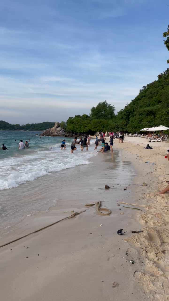 (파타야) 꼬란 여행 (2) [Ta Yai Beach ( หาดตายาย )]