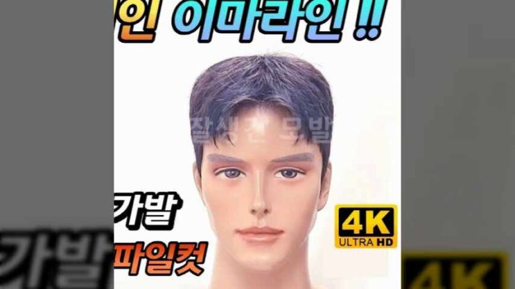  서울가발 대여 렌탈 정수리 앞머리가발로