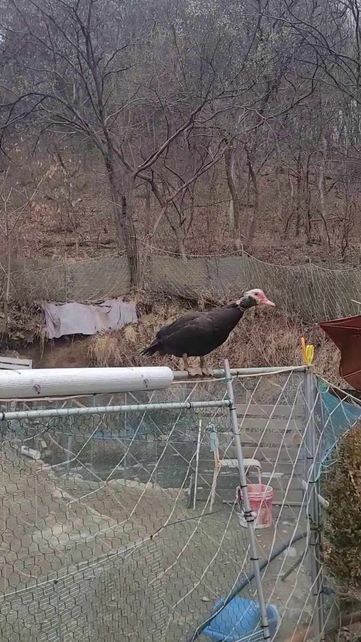  기러기농원학습농장