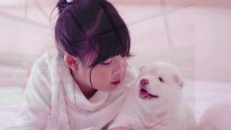  부천 애완동물 장례 화장 애완견 화장터 장례식장 세심하고 꼼꼼한 절차와 함께