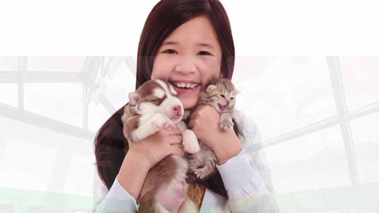  용인 고양이 장례 화장 애견 화장터 마지막 길 정성을 다한 이별을