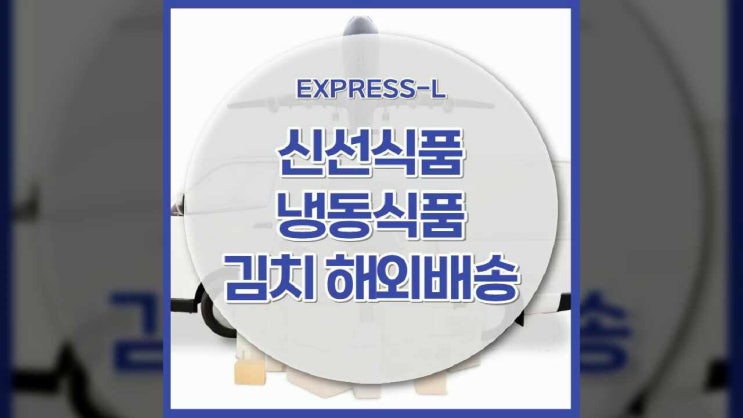  식품해외배송 비비고 치킨 등