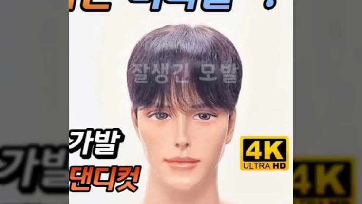  안양가발 평촌 범계 가발스타일