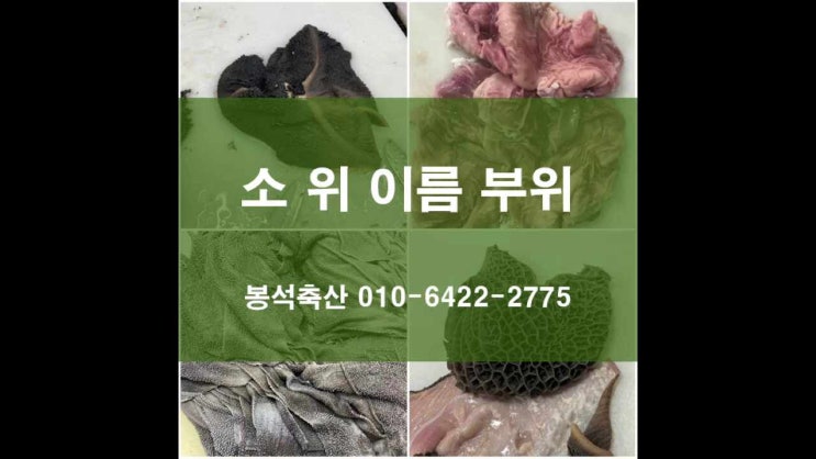 소 위 이름 양 벌집양 천엽 막창 효능과 생김 알아보기 : 네이버 블로그
