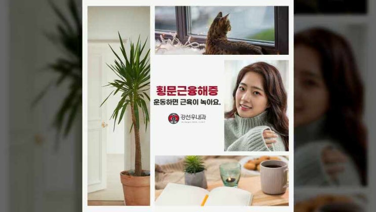  부산시내과 살이 아니라 근육이 녹아요