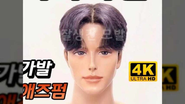  원형탈모가발 가격 남자 부분 이마가발