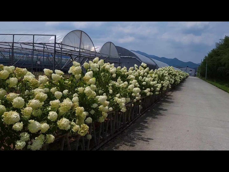 링크 미리보기
