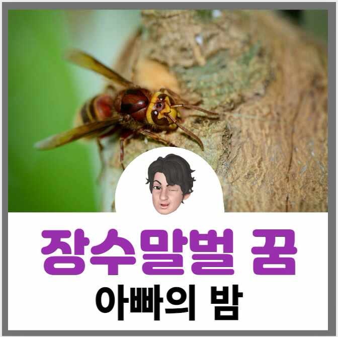 장수말벌 꿈 해몽