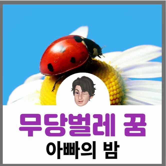 무당벌레 꿈 해몽