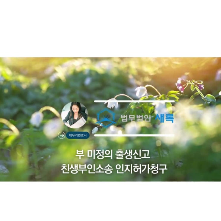  부 미정의 출생신고 친생부인소송 인지허가청구