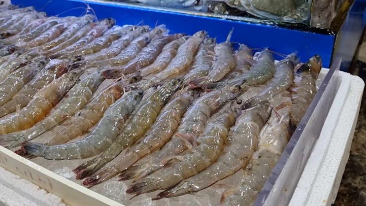 수원의 맛있는 보물창고, 대명수산! 수원킹크랩과 권선동맛집 탐방기