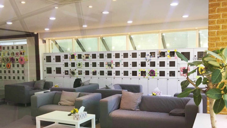  수원 반려동물 장례 반려견 장례식장 선택 시 꼭 알아두세요