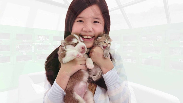  인천 강아지 장례 신중하고 똑똑한 결정으로