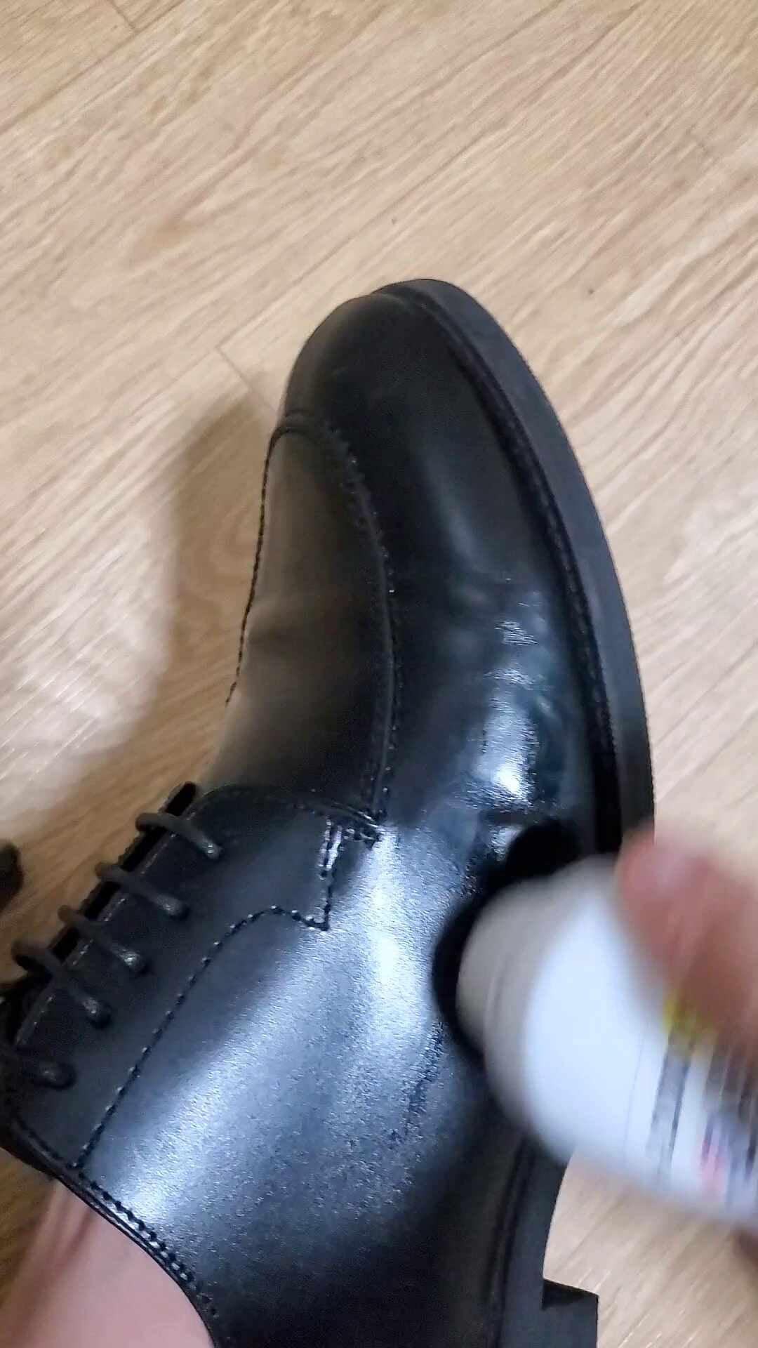 다이소 구두약 가죽 구두 염색약 셀프 사용법