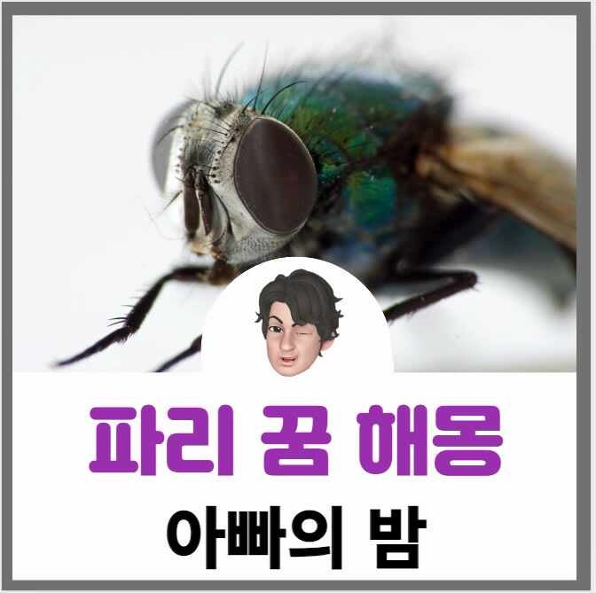 파리 꿈 해몽