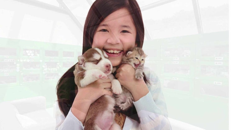  인천 강아지 화장터 안전한 작별을 위해