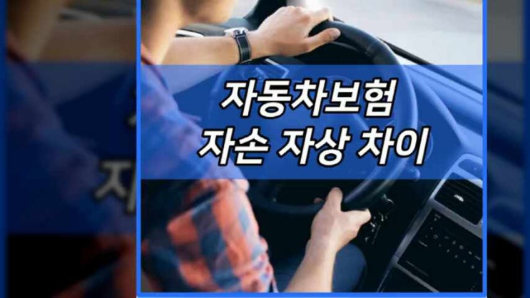 자동차보험 자손 자상 차이 | 자손보험이란? | 자기신체손해 차량 (자동차 상해) 어떤게 유리할까? | 얼마로? : 네이버 블로그