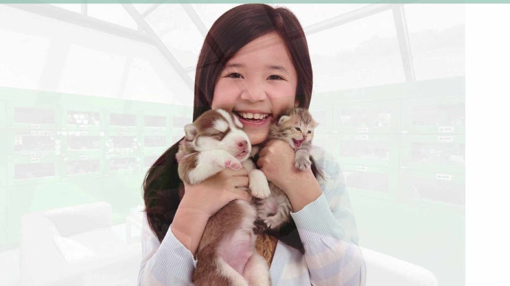  일산 고양이 장례 화장터 장례식장 추억이 잘 보존되도록