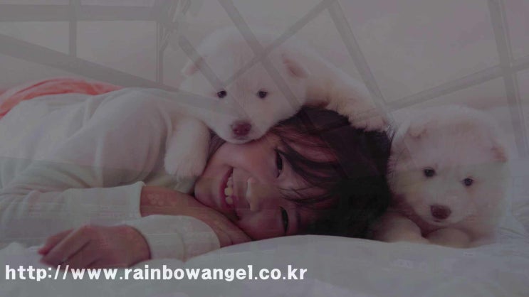  햄스터 장례 화장 장례식장 작지만 더욱 특별하게