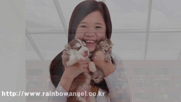  인천 강아지 화장 가장 큰 규모와 시설을 갖추었어요