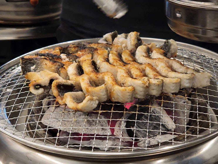  제주 함덕 장어  제주황금장어  장어집이 이베리코 목살도 맛있음..대박