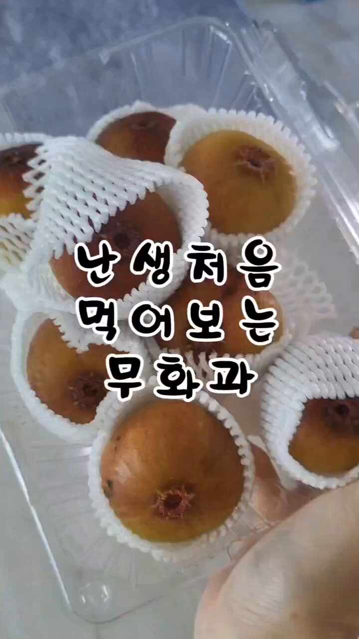  무화과먹방