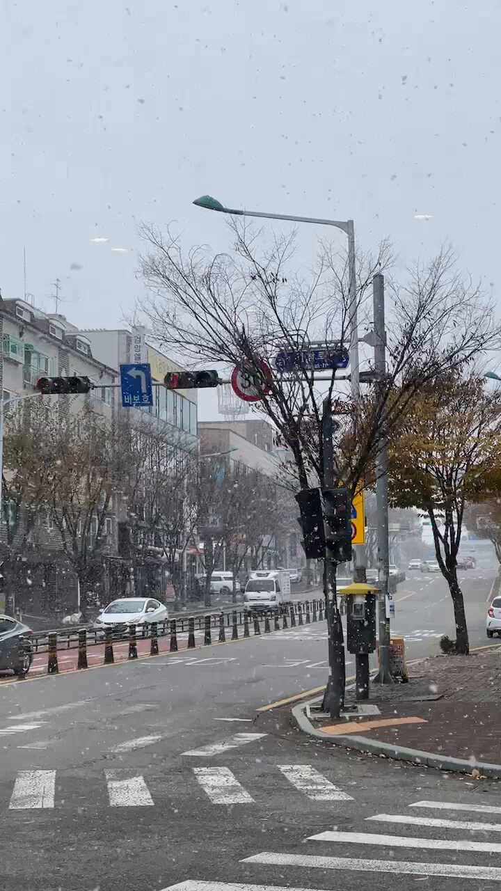  23년도 첫눈. 나이는 사십대지만 마음은 이십대.