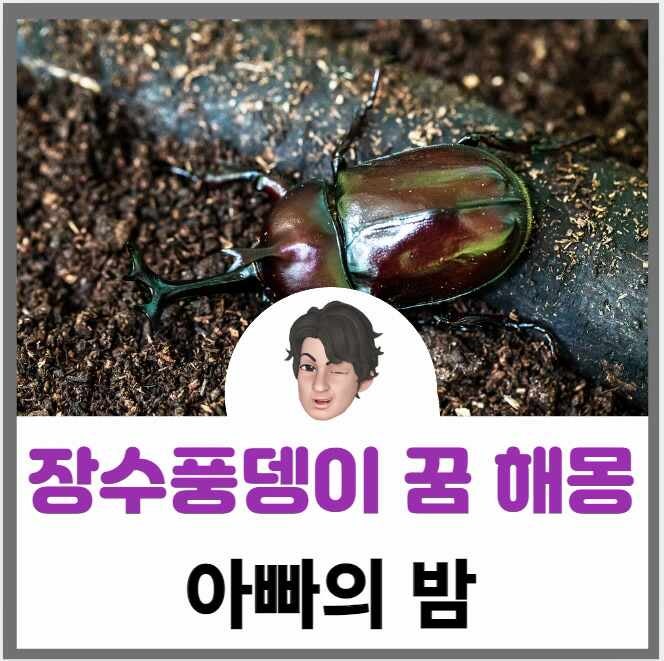 장수풍뎅이 꿈 해몽