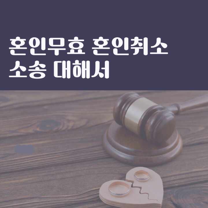  혼인취소 소송 대해서 살펴보자면