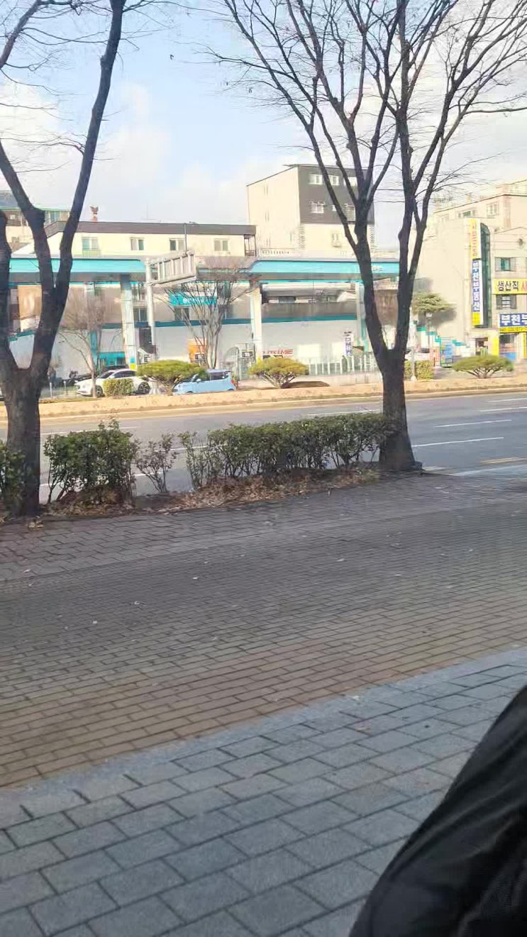  [일기] ② 스타벅스 돌체라떼, 옥길 베트남 노상식당, 웹툰 마법사랑해/ 먹고 먹고 또 먹는 퇴사 이후의 삶