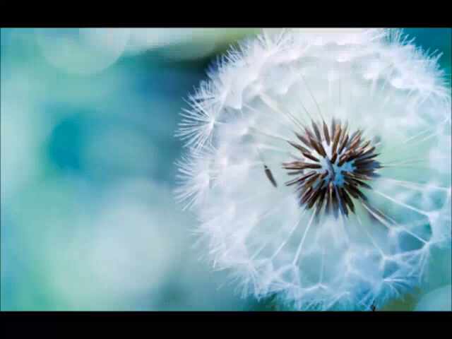  주께 가오니 Lord I come to you