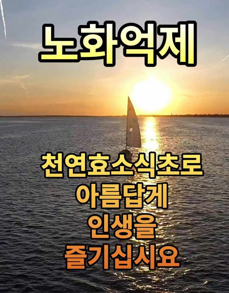  항암,방사선치료후유증 천연식초로 회복하기14편