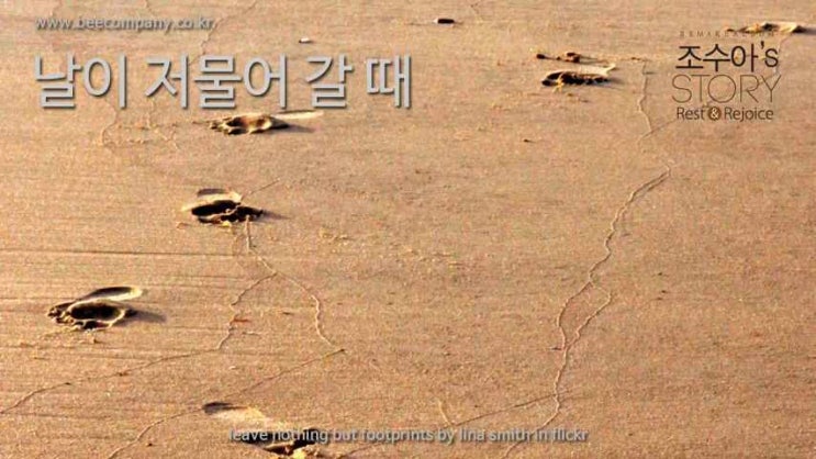  주가 일하시네