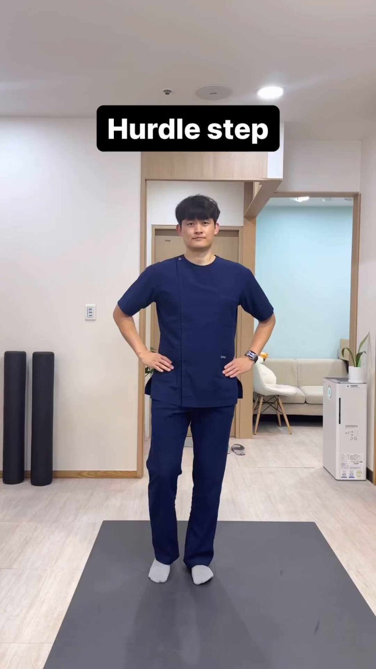 [ Hurdle Step] 고관절 가동성&안정성 운동 Hip joint Mobility & Stability [창원 고관절 재활 ...