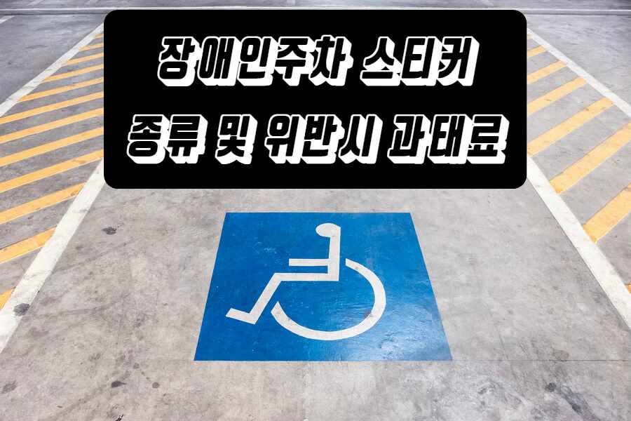 장애인주차 스티커 종류 및 색깔구분 및 위반시 과태료는?