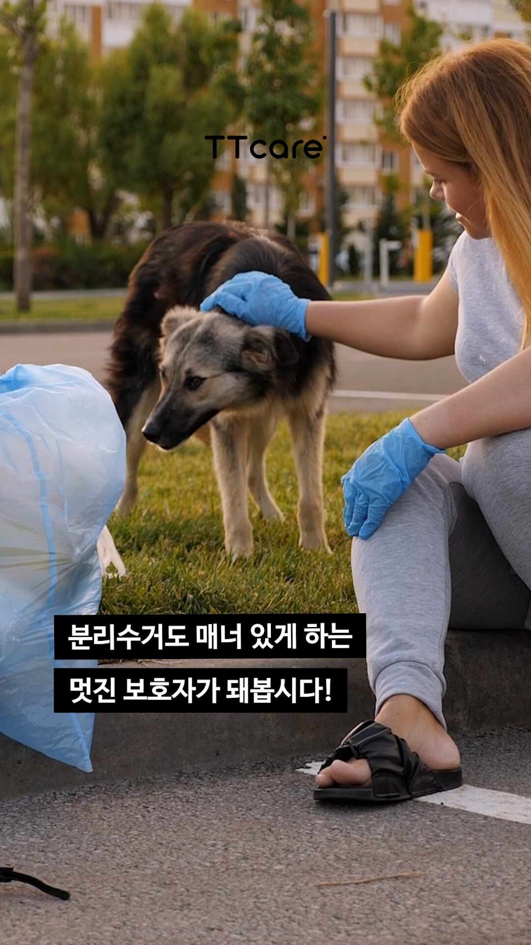 캣타워 어떻게 버릴까? 강아지, 고양이 물건 분리수거 방법