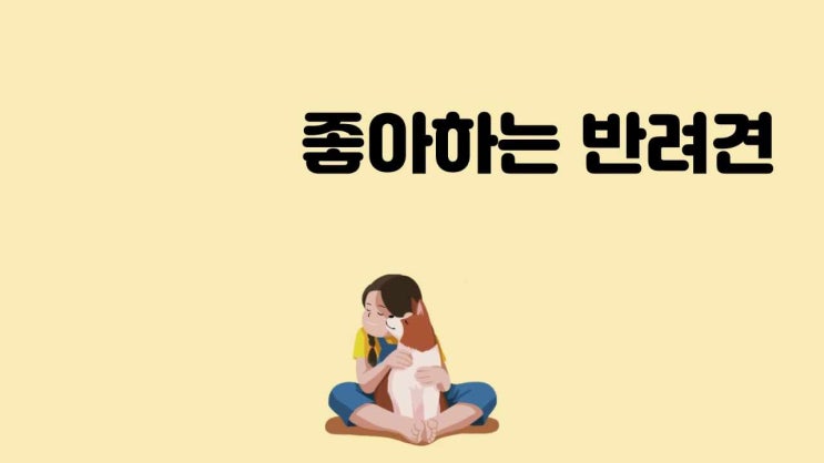 208강아지영상